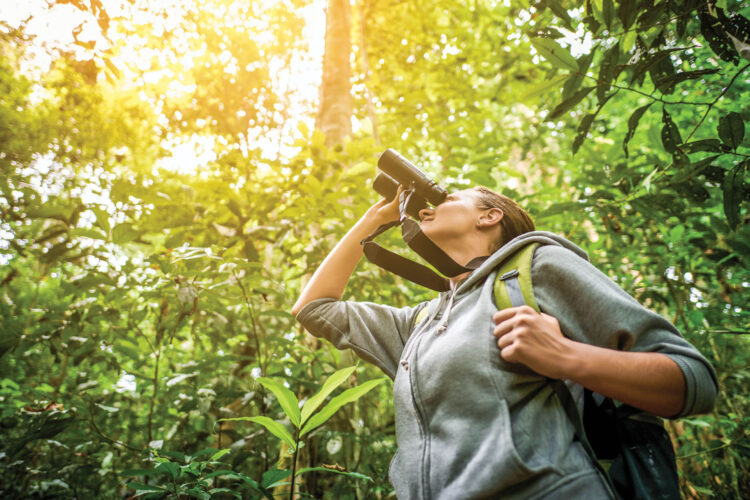'Walk in Penn’s Woods' offered at Rider Park